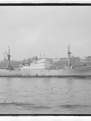 Schwarzweißaufnahme eines Frachtschiffs auf ruhigem Wasser vor einer Stadtkulisse; links unten Wasserzeichen Internationales Maritimes Museum Hamburg