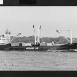 Frachtschiff mit Ladekränen und Containern, Schriftzug MEDTAINER LINE, fährt vor bewaldeter Küste.