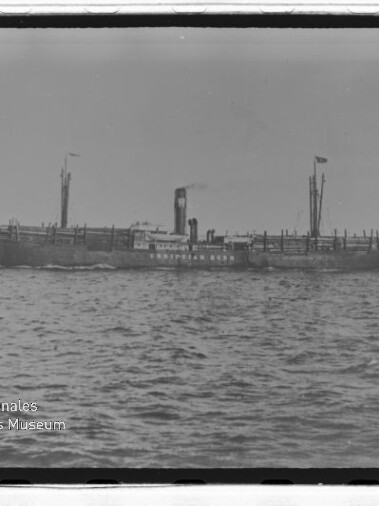 Dampfschiff mit mittigem Schornstein und Masten auf ruhiger See, Wasserzeichen des Internationalen Maritimen Museums Hamburg