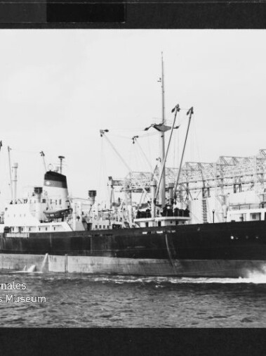 Schwarzes Frachtschiff mit Ladekränen erzeugt Bugwelle, Hafen- und Lagerhallen im Hintergrund.