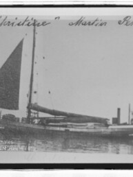 Ein kleines Einmast-Segelschiff mit aufgeholtem dreieckigem Segel liegt ruhig im Wasser, oben ist ein handschriftlicher Schriftzug sichtbar.