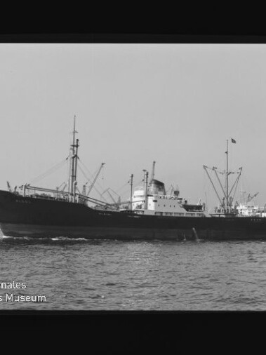 Frachtschiff mit Ladekränen fährt im Hafen; Maritimes Museum Hamburg-Logo unten links.