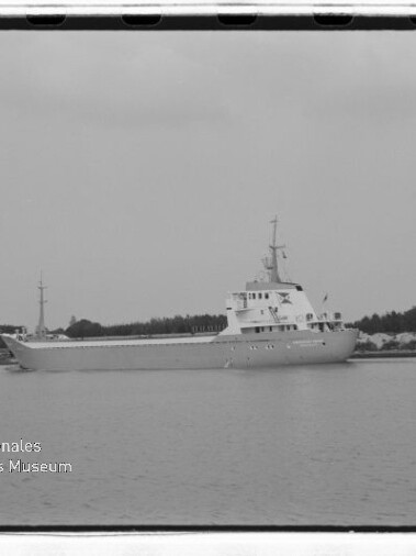 Graustufiges Foto eines Frachtschiffs nahe flacher Küste mit Wasserzeichen Internationales Maritimes Museum Hamburg.