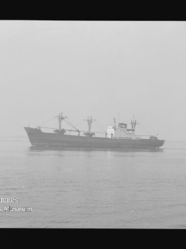 Schwarzweißaufnahme eines Frachtschiffs mit Ladekränen auf ruhiger, nebliger See; links der Bug eines zweiten Schiffs und das Wasserzeichen des Internationalen Maritimen Museums Hamburg