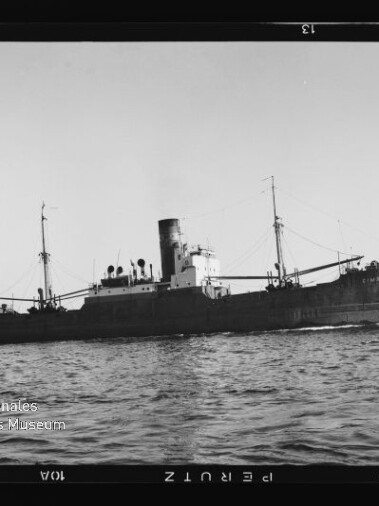Schwarzweiß-Profil eines Frachtschiffs mit hohem Schornstein und Masten, fahrend auf ruhiger See; Museumslogo links unten.