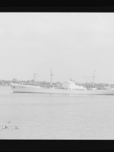 Heller Frachter in Seitenansicht auf ruhigem Wasser vor flachem Ufer, Schwarzweißaufnahme mit Museumslogo unten links.
