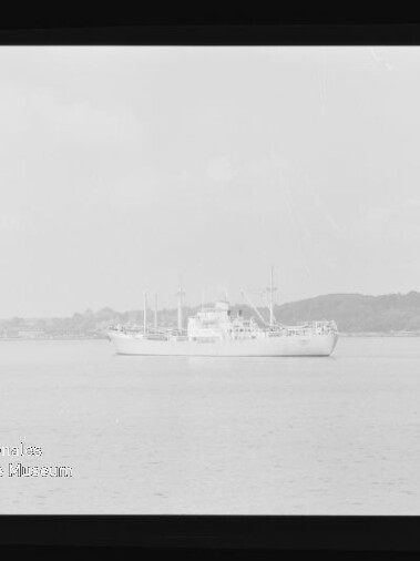 Weißes Schiff auf ruhigem Wasser vor flacher Küstenlinie, Museumslogo und Schriftzug unten links sichtbar.