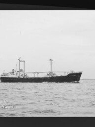 Frachtschiff mit zwei Ladekränen auf ruhiger See, s/w-Foto mit Wasserzeichen des Maritimen Museums Hamburg.