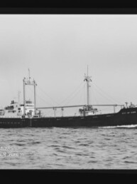 Schwarzweiß-Foto eines Frachtschiffs mit zwei Masten und Ladebäumen, auf ruhiger See fahrend; Museumslogo unten links.