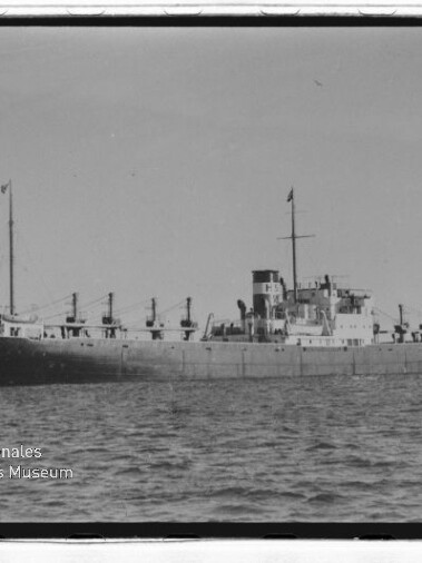 Seitenansicht eines Frachtschiffs in Schwarzweiß auf ruhiger See, mit Wasserzeichen des Internationalen Maritimen Museums Hamburg.