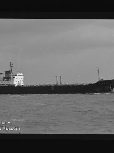 Schwarzweiß-Foto eines Frachtschiffs auf ruhiger See mit Möwe im Vordergrund und Schriftzug Internationales Maritimes Museum Hamburg