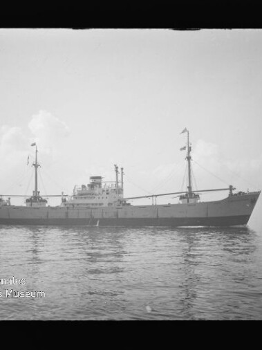 Frachtschiff in Seitenansicht auf ruhiger See, mittige Aufbauten und zwei Masten; schwarzweiß-Foto mit Museumswasserzeichen.