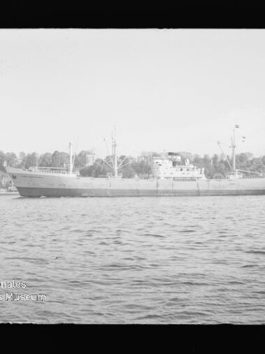 Frachtschiff in ruhiger See vor Küstenlinie; Wasserzeichen: Internationales Maritimes Museum Hamburg