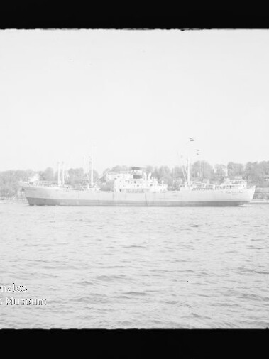 Großes Frachtschiff in Seitansicht auf ruhiger See vor bewaldeter Küste mit Häusern; Museumsstempel unten links.