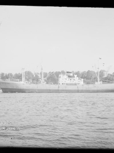 Seitenansicht eines Frachtschiffs auf ruhigem Wasser vor bewaldetem Ufer mit Häusern.