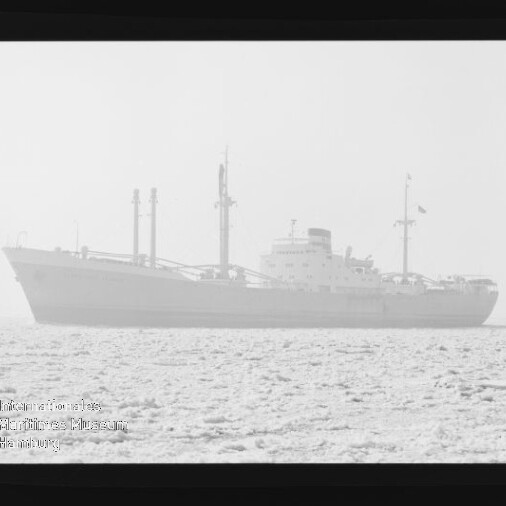 Frachtschiff mit sichtbaren Ladekränen auf nebliger, kontrastarmer See, Filmrahmen und Museumswasserzeichen am Rand sichtbar.