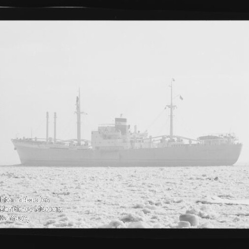 Großes Frachtschiff als verschwommene Silhouette auf ruhiger See, im Vordergrund treibende Eisschollen