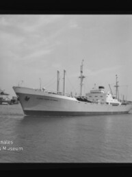 Schwarzweiß-Aufnahme eines Frachtschiffs namens Clipper Stevens im Hafen, Seitenansicht mit Ladebäumen