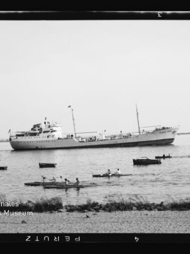 Großes weißes Schiff auf ruhigem Wasser, im Vordergrund mehrere Ruder- und Segelboote und ein Museumstempel.