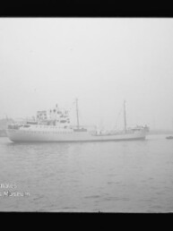 Schwarzweißaufnahme eines weißen Schiffs in nebligem Hafen mit kleinem Begleitboot rechts; Wasserzeichen 