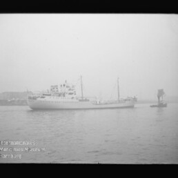 Schwarzweißaufnahme eines weißen Schiffs in nebligem Hafen mit kleinem Begleitboot rechts; Wasserzeichen 