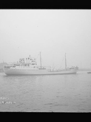 Schwarzweißaufnahme eines weißen Schiffs in nebligem Hafen mit kleinem Begleitboot rechts; Wasserzeichen 