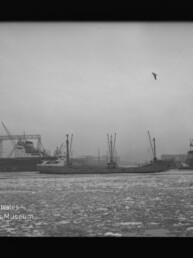 Frachtschiffe und Hafenkräne vor teils zugefrorenem Wasser, ein Vogel am Himmel; Wasserzeichen 