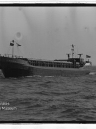 Frachtschiff auf offener See mit weiterem Schiff am Horizont; unten links Logo des Internationalen Maritimen Museums Hamburg.