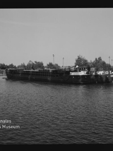 Schwarzweißfoto eines langen Binnenschiffs, das auf einem Fluss vor einem baumbestandenen Ufer vorbeifährt.