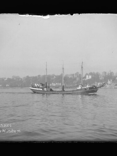 Dreimastiges Segelschiff ohne Segel fährt vor ruhiger Küste mit Häusern; Schriftzug Internationales Maritimes Museum Hamburg sichtbar.