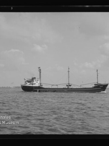 Schwarzweiß-Foto eines Frachtschiffs auf ruhiger See; unten links Logo Int. Maritimes Museum Hamburg.