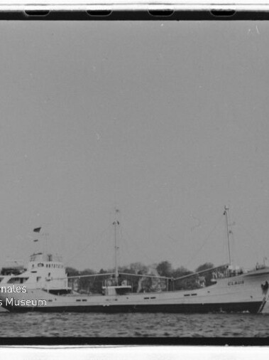 Weißes Frachtschiff mit zwei Masten und Flagge auf ruhigem Wasser vor baumbewachsenem Ufer; links unten Schriftzug Internationales Maritimes Museum Hamburg.