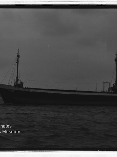 Schwarzweißfoto eines Frachtschiffs im Hafen vor Kranreihe; Logo des Internationalen Maritimen Museums Hamburg links unten