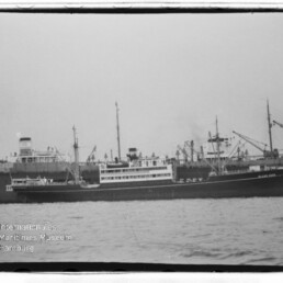 Schwarzweißaufnahme eines Frachtschiffs mit Aufbauten und Hafenkränen, Wasserzeichen Internationales Maritimes Museum Hamburg.