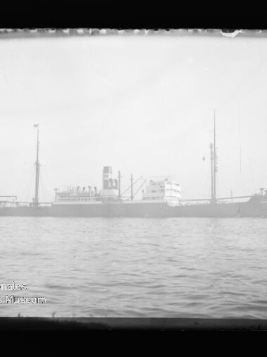Frachtdampfer in Seitenansicht mit Schornstein und zwei Masten auf ruhiger See; Logo Internationales Maritimes Museum Hamburg links unten.