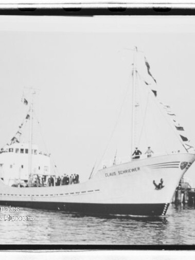 Weißes Passagierschiff mit der Aufschrift 