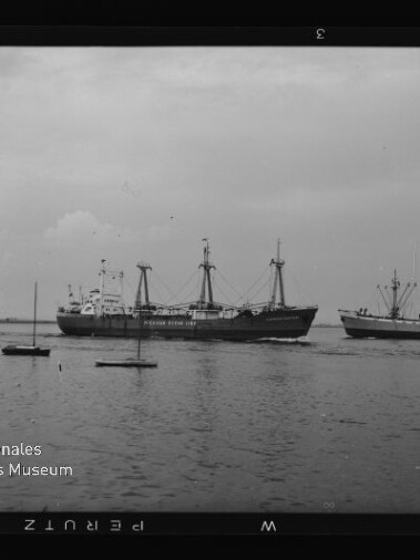 Zwei Frachtschiffe mit Ladekränen fahren nebeneinander auf ruhigem Wasser, kleine Segelboote im Vordergrund; schwarzweißfoto mit Museumsschrift.