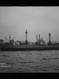 Schwarzweißbild eines Frachtschiffs mit Hafenkränen, Wasser im Vordergrund und Wasserzeichen Maritimes Museum Hamburg unten links.