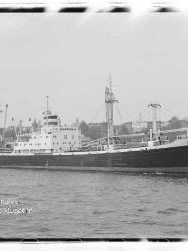 Frachtschiff Salvia auf ruhiger See vor Hafenstadt, Seitenansicht mit Aufbauten und Ladegeschirr.