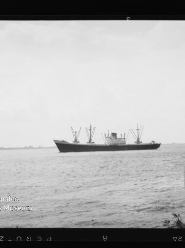 Frachtschiff mit mehreren Ladekränen auf ruhiger See, niedriger Horizont, kleines Uferstück links und leichter Wolkenhimmel