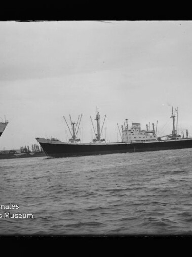 Frachtschiff mit mehreren Ladekränen und Aufbauten auf ruhiger See, links vorn der Bug eines zweiten Schiffes