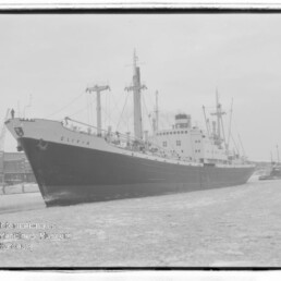 Großes Frachtschiff im Hafen mit sichtbarem Namen am Bug, Kaianlagen und Kräne im Hintergrund.
