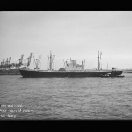 Frachtschiff mit Hafenkränen im Hintergrund und einem Schlepper an der Seite auf ruhigem Wasser.