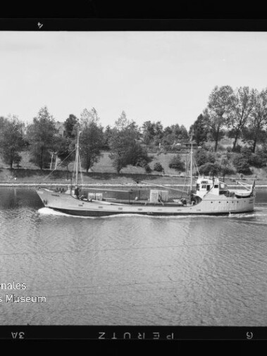 Kleiner Frachter fährt auf ruhigem Fluss vor baumbewachsenem Ufer, schwarzweißes Foto mit Filmrand und Museumswasserzeichen.