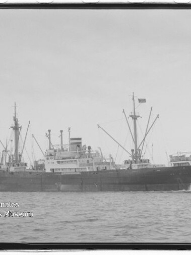 Schwarzweißaufnahme eines Frachtschiffs im Hafen mit Kränen und Getreidesilos, Museumslogo unten links.