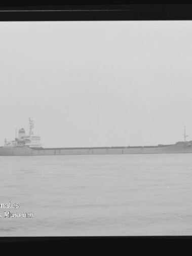 Schwarzweißaufnahme eines langen Frachtschiffs in Seitenansicht auf ruhiger See, mit sichtbarem Filmrähmen und dem Wasserzeichen des Internationalen Maritimen Museums Hamburg in der linken unteren Ecke.