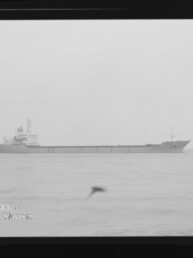 Schwarzweiß-Foto eines langen Frachtschiffs in Seitenansicht auf ruhiger See, am Horizont platziert, mit einem unscharfen Vogel im Vordergrund sowie sichtbarem Filmrand und Wasserzeichen des Internationalen Maritimen Museums Hamburg.