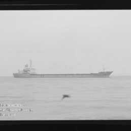 Schwarzweiß-Foto eines langen Frachtschiffs in Seitenansicht auf ruhiger See, am Horizont platziert, mit einem unscharfen Vogel im Vordergrund sowie sichtbarem Filmrand und Wasserzeichen des Internationalen Maritimen Museums Hamburg.
