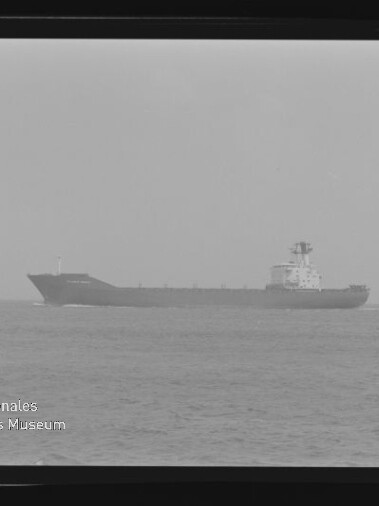 Schwarzweißfoto eines in Seitenansicht fahrenden Frachters auf ruhiger See, mit sichtbaren Negativrändern und dem Wasserzeichen „Internationales Maritimes Museum Hamburg“ unten links.