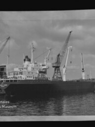 Schwarzweiß-Foto eines im Hafen vertäuten Frachtschiffs neben mehreren großen Hafenkränen, mit Spiegelung im ruhigen Wasser und Wasserzeichen ‚Internationales Maritimes Museum Hamburg‘ links unten.